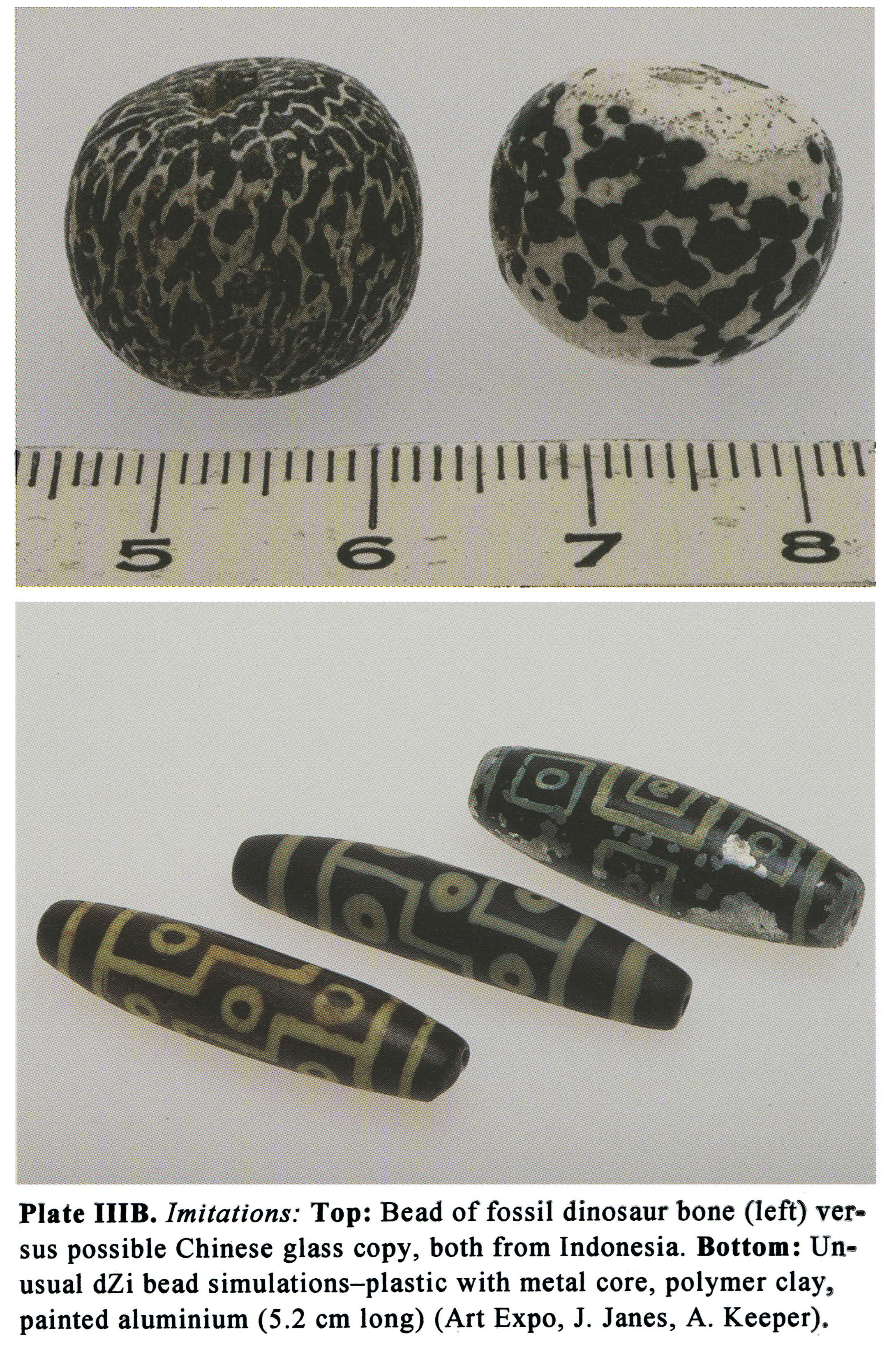 Plate IIIB Imitations: Top: Bead of fossil dinosaur bone (left) versus possible Chinese glass copy, both from Indonesia. Bottom: Unusual dZi bead simulations-plastic with metal core, polymer clay, painted aluminium (5.2 cm long) (Art Expo, J. Janes, A. Keeper).