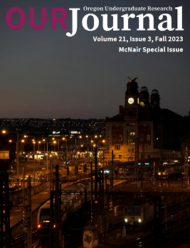 McNair special issue cover. A city and train station at night.